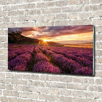 Glass art picture Lavender field