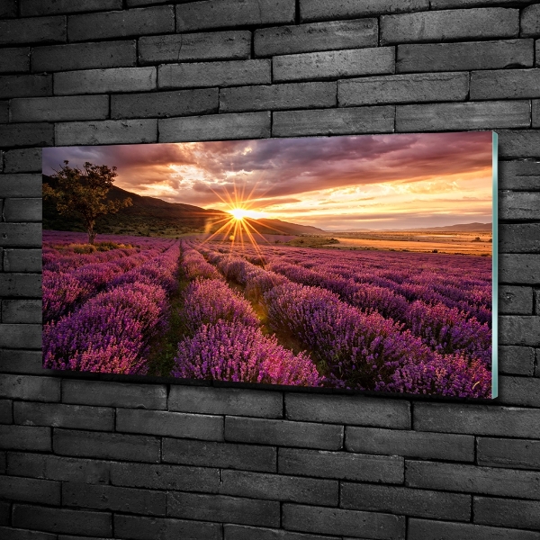 Glass art picture Lavender field