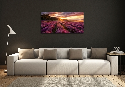 Glass art picture Lavender field