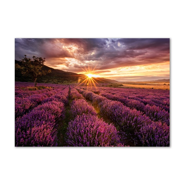 Glass art picture Lavender field