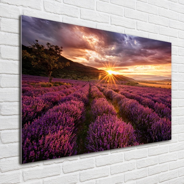 Glass art picture Lavender field