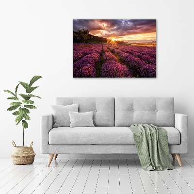 Glass art picture Lavender field