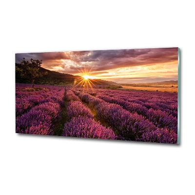 Glass art picture Lavender field