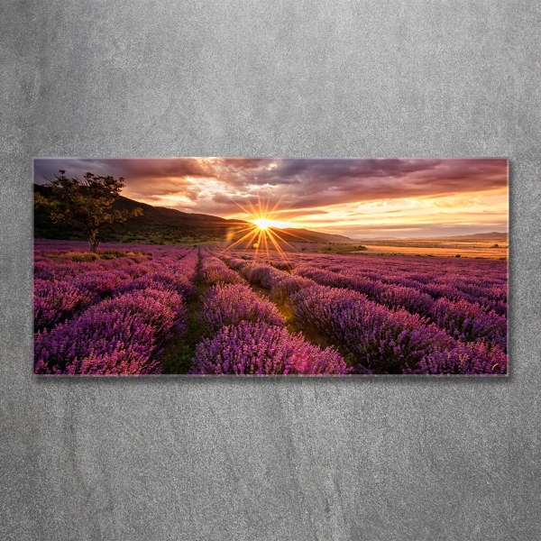 Glass art picture Lavender field