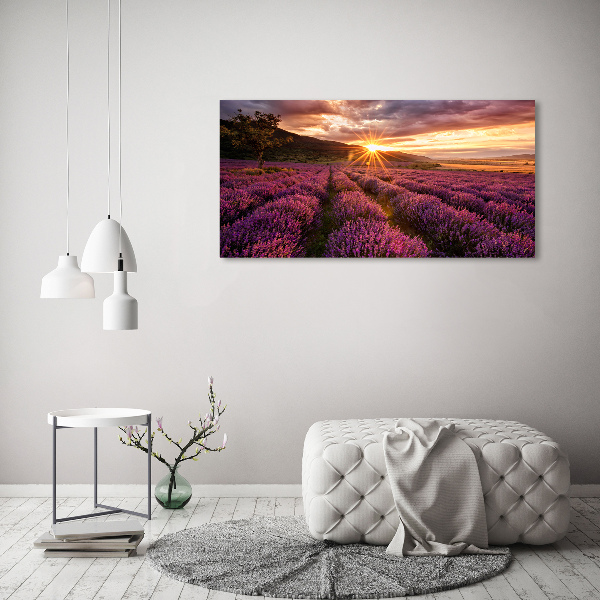 Glass art picture Lavender field