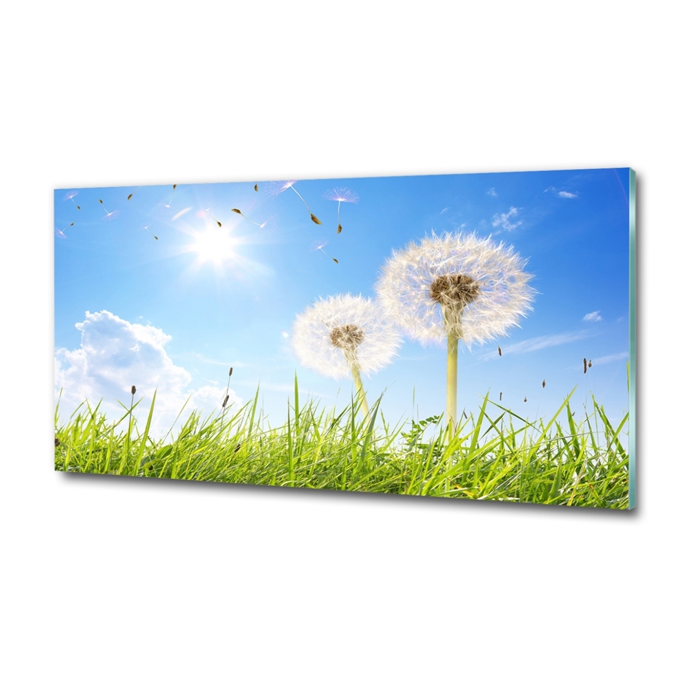 Glass art print Dandelions