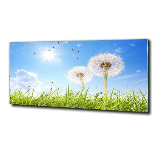 Glass art print Dandelions