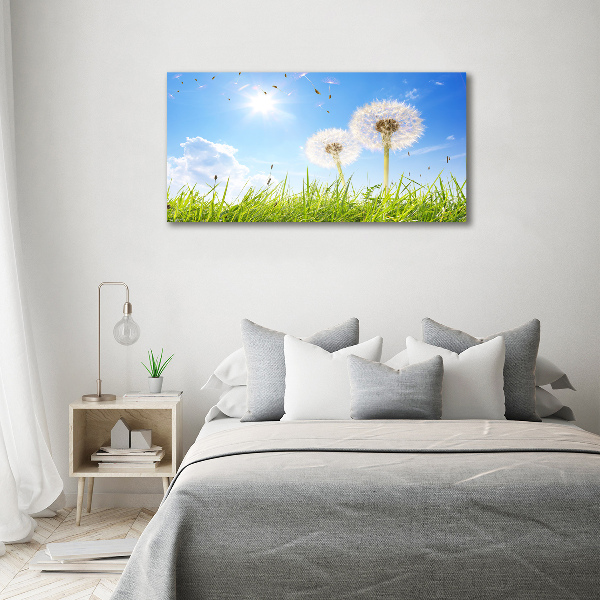 Glass art print Dandelions