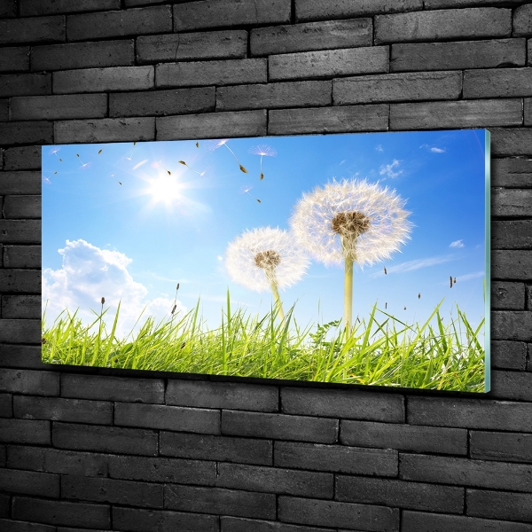 Glass art print Dandelions