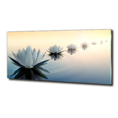 Wall art on glass Lotos flowers