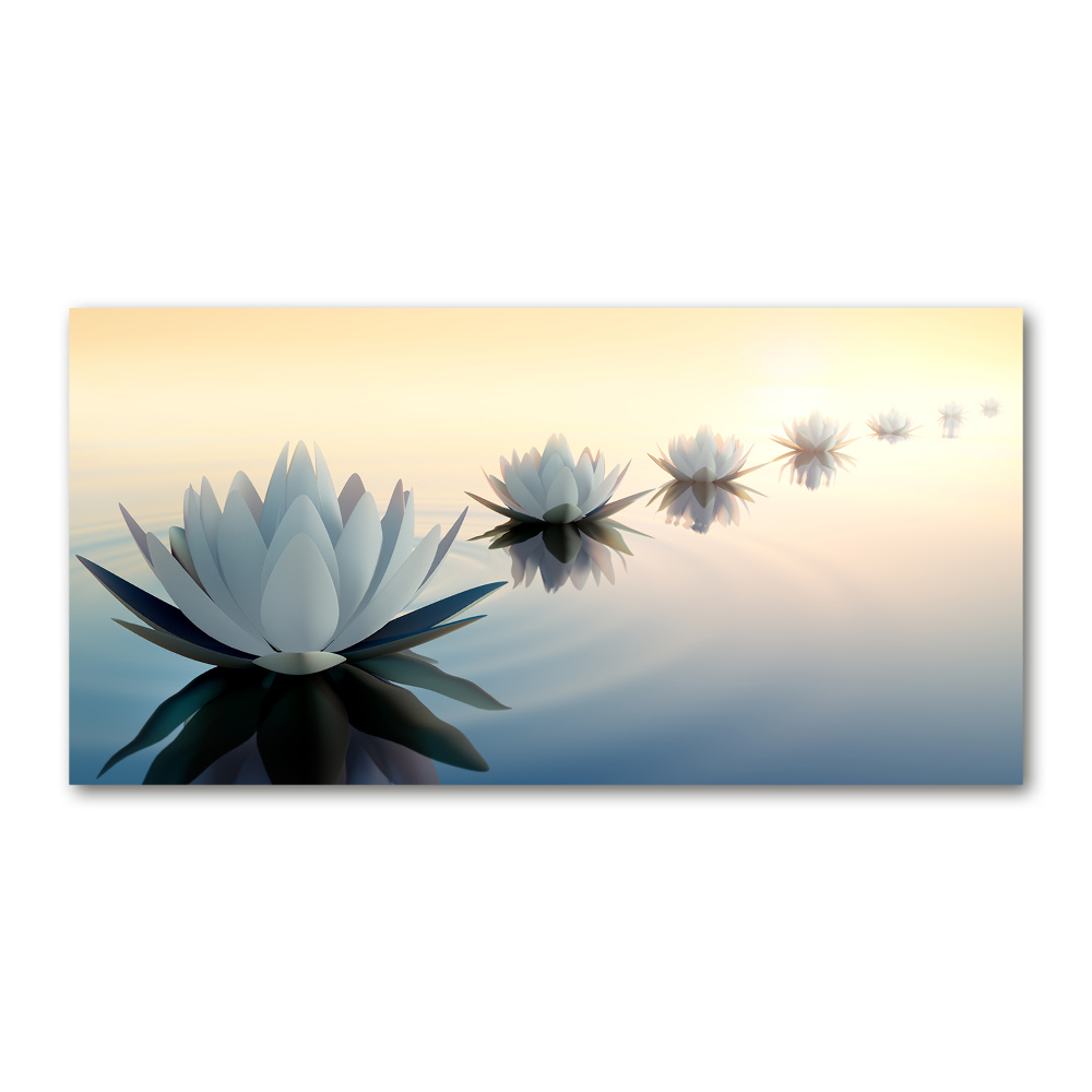 Wall art on glass Lotos flowers