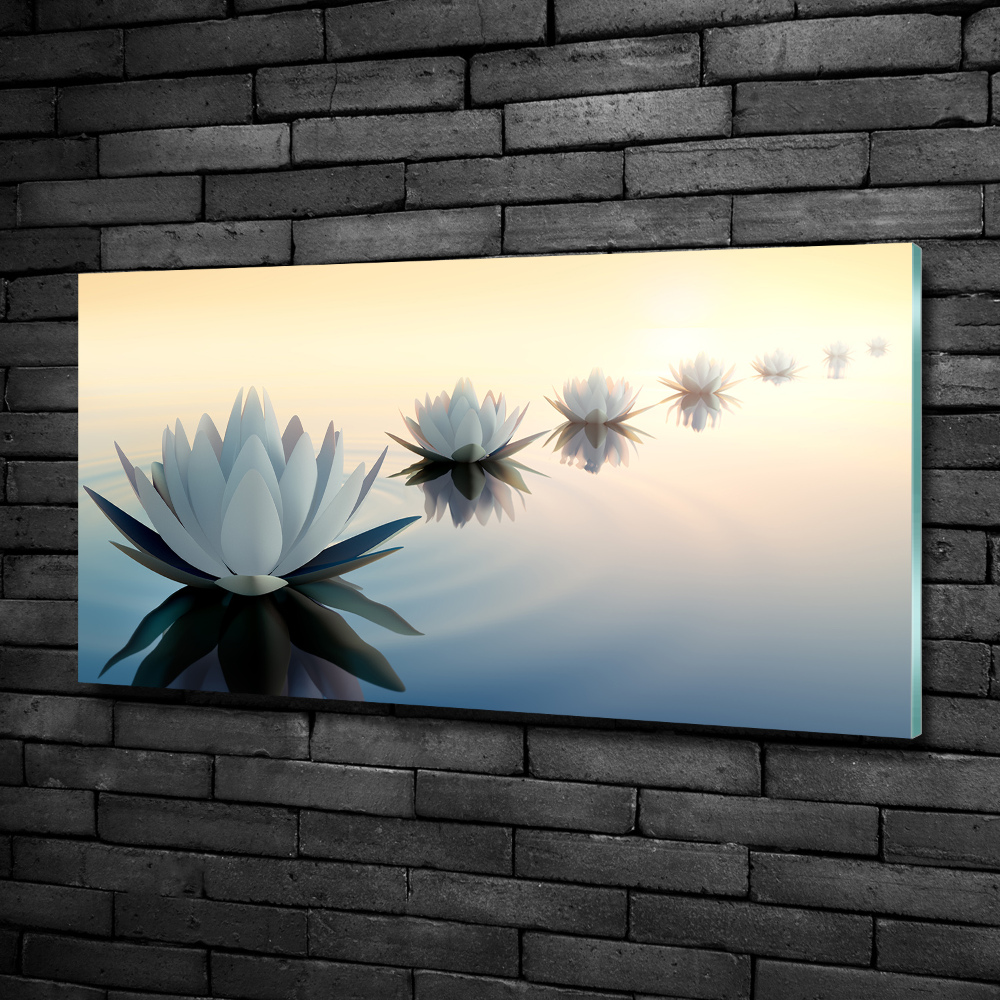 Wall art on glass Lotos flowers