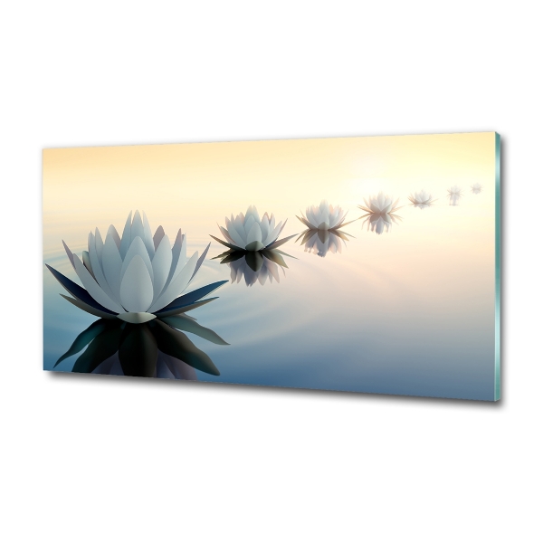 Wall art on glass Lotos flowers