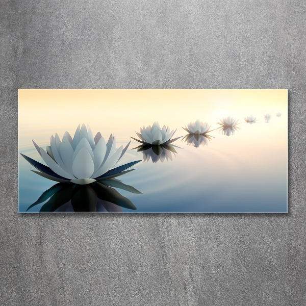 Wall art on glass Lotos flowers