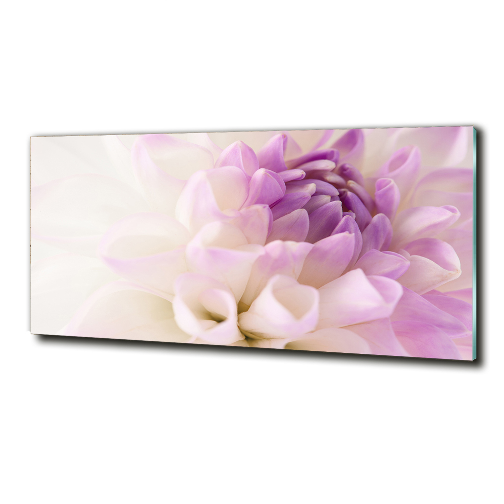 Wall art on glass White dalia