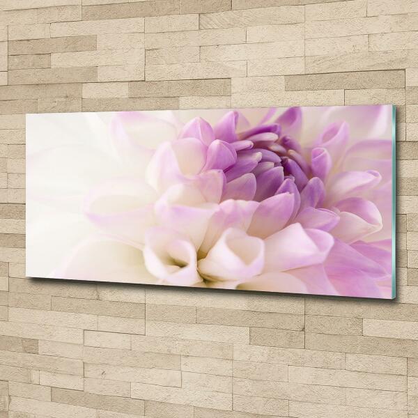 Wall art on glass White dalia