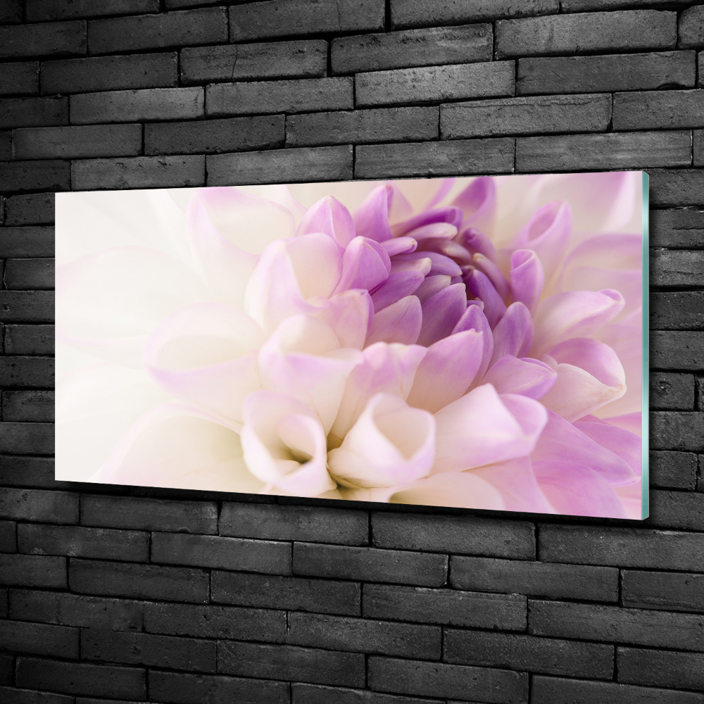 Wall art on glass White dalia