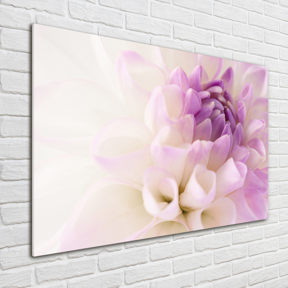 Wall art on glass White dalia