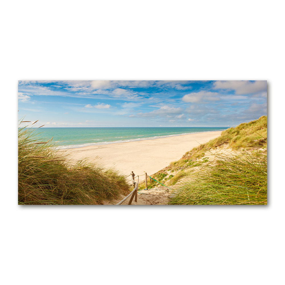 Photo printed on glass Coastal dunes