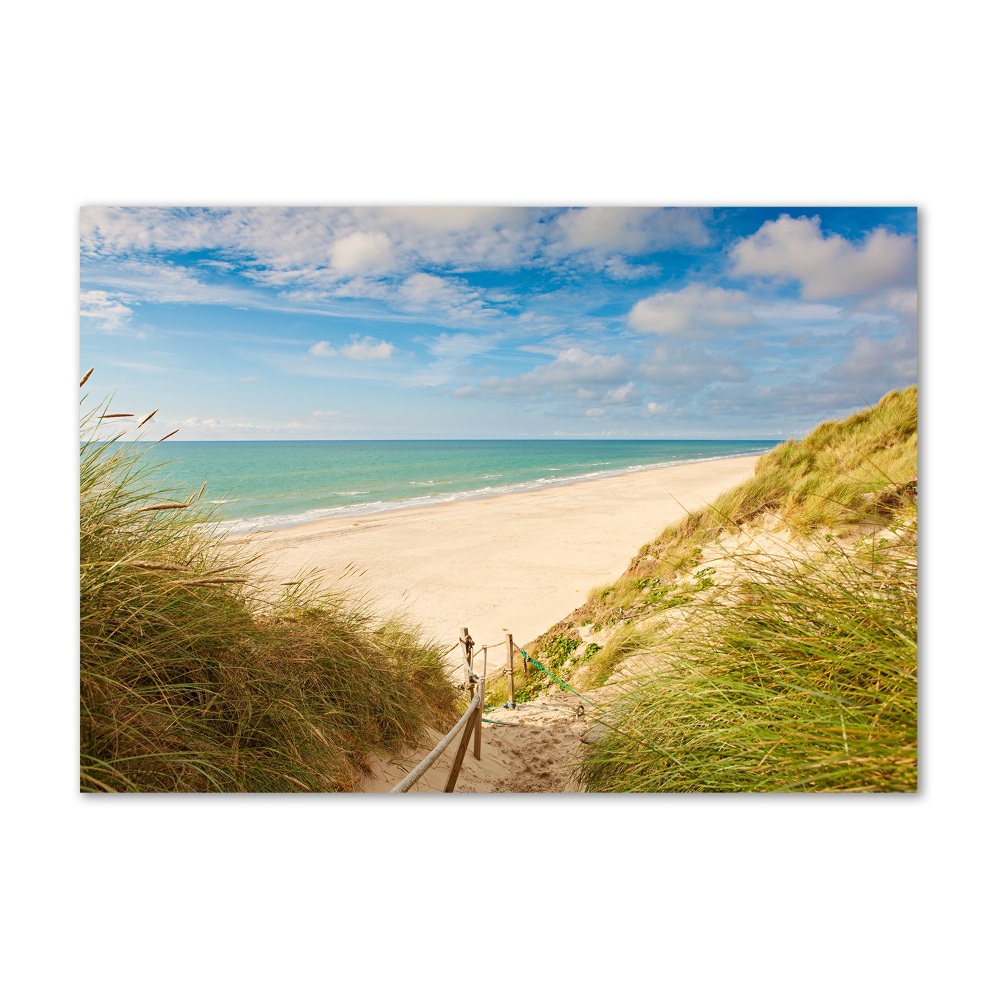 Photo printed on glass Coastal dunes