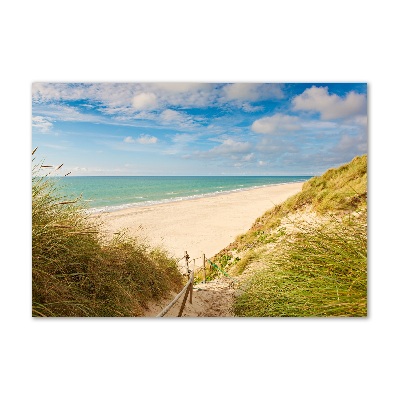 Photo printed on glass Coastal dunes