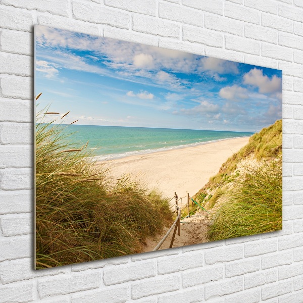 Photo printed on glass Coastal dunes