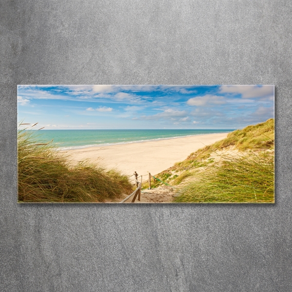 Photo printed on glass Coastal dunes