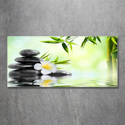 Glass wall art Orchid and bamboo