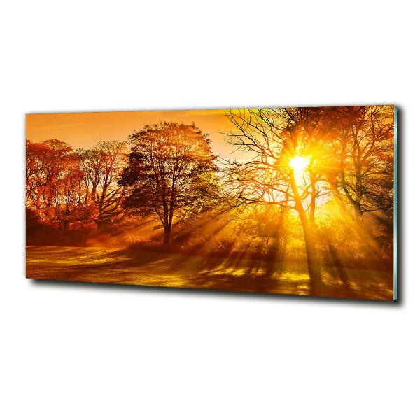 Glass art picture Sunset