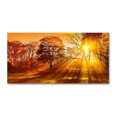 Glass art picture Sunset