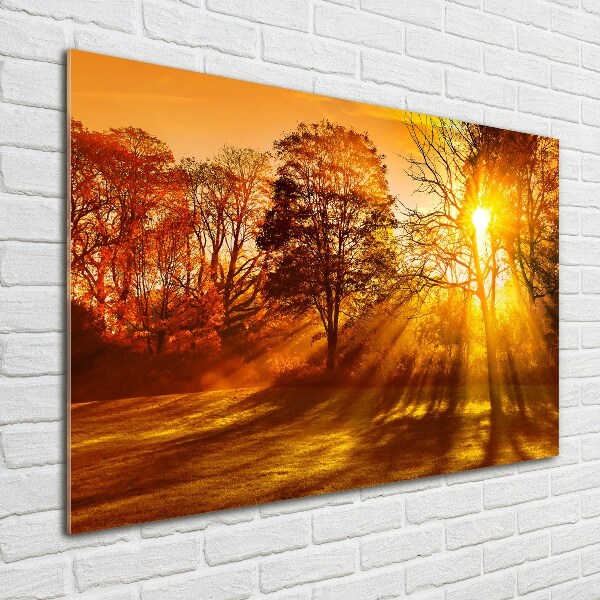 Glass art picture Sunset