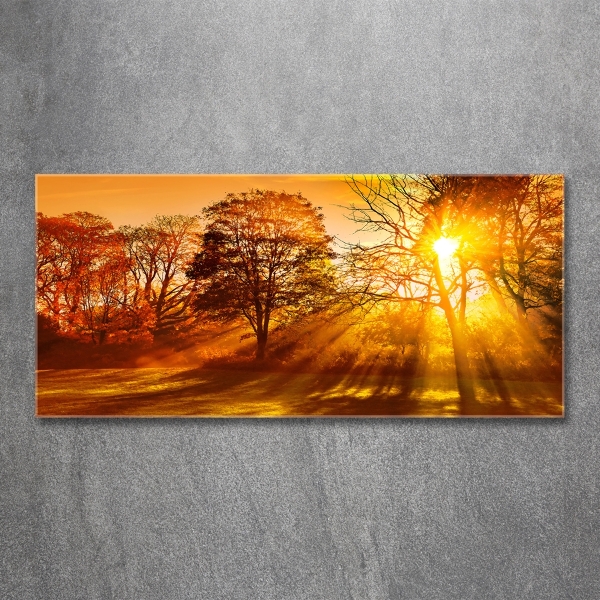 Glass art picture Sunset