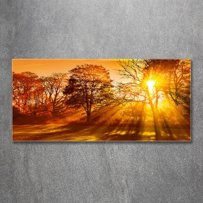 Glass art picture Sunset