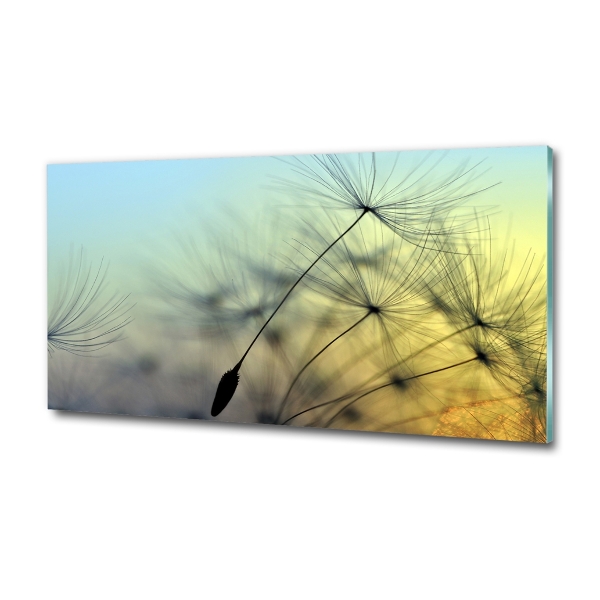 Wall art on glass Dandelion seeds