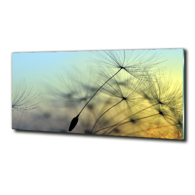 Wall art on glass Dandelion seeds