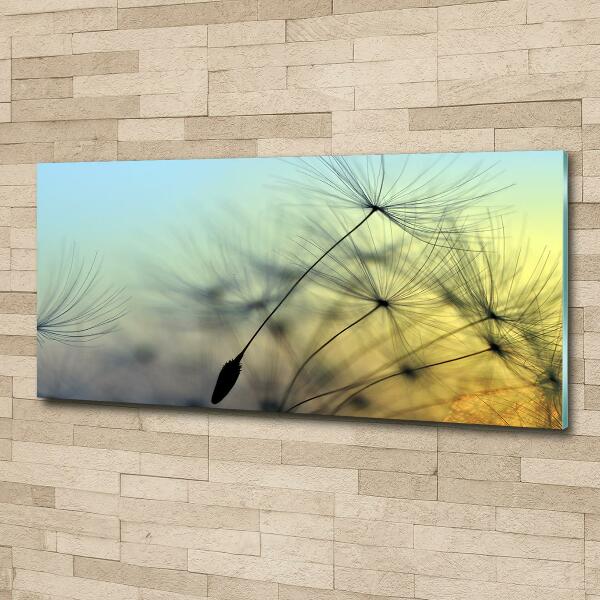 Wall art on glass Dandelion seeds