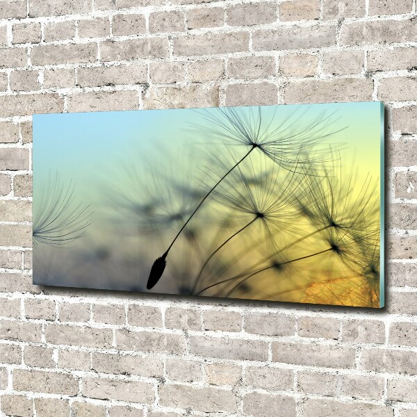 Wall art on glass Dandelion seeds