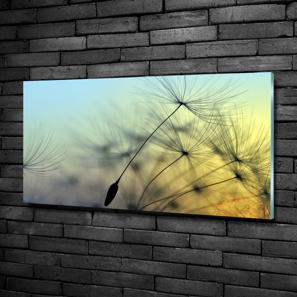 Wall art on glass Dandelion seeds