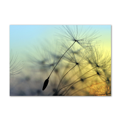 Wall art on glass Dandelion seeds