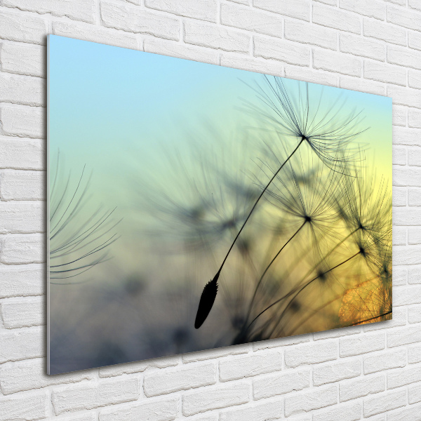 Wall art on glass Dandelion seeds