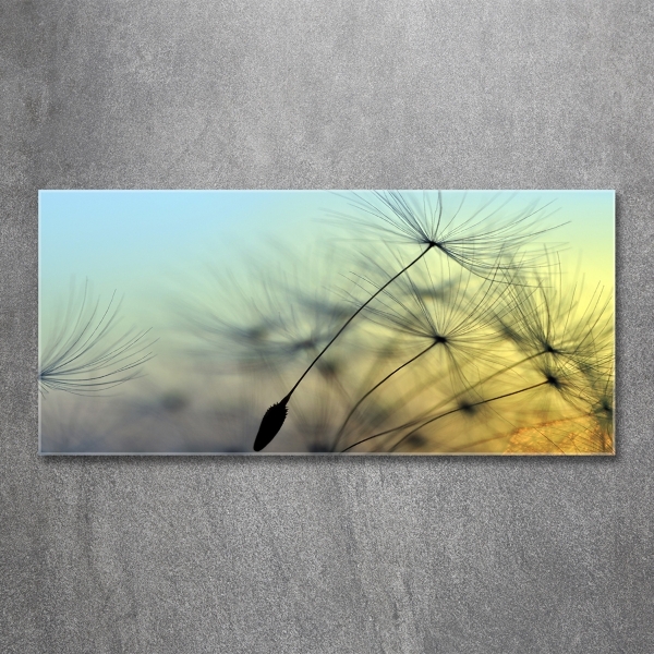 Wall art on glass Dandelion seeds