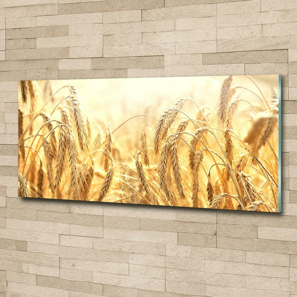 Glass wall art Cereal