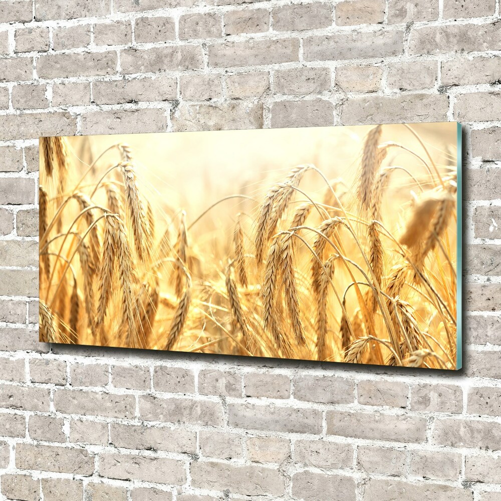 Glass wall art Cereal