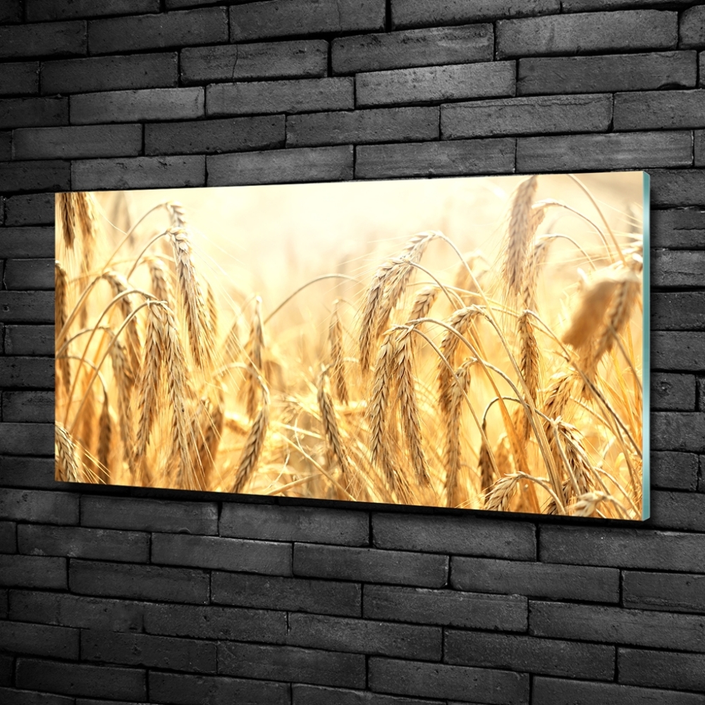 Glass wall art Cereal