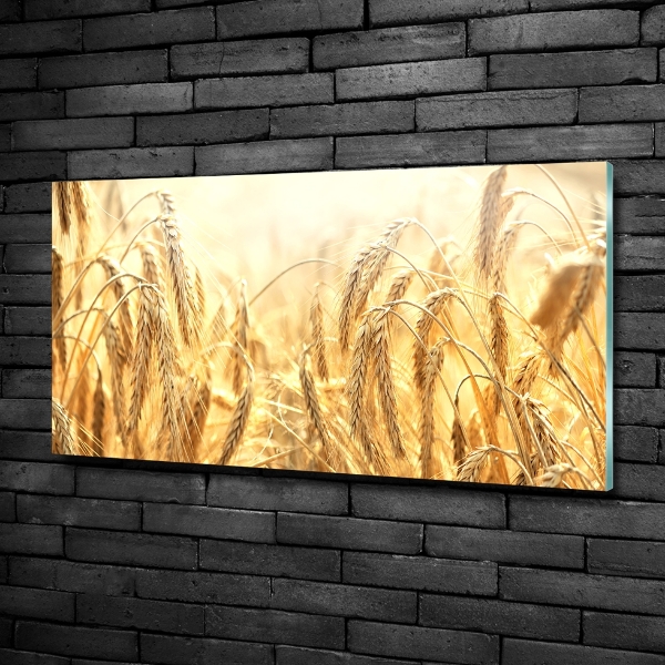 Glass wall art Cereal