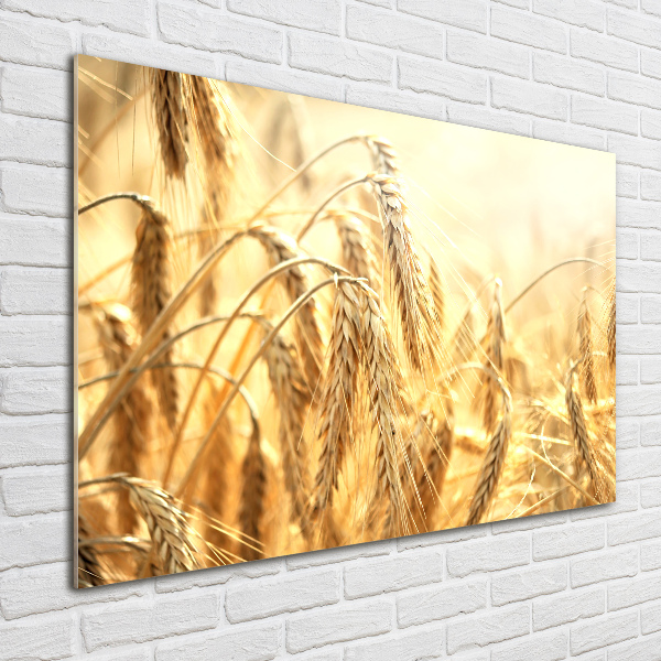 Glass wall art Cereal