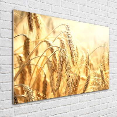 Glass wall art Cereal