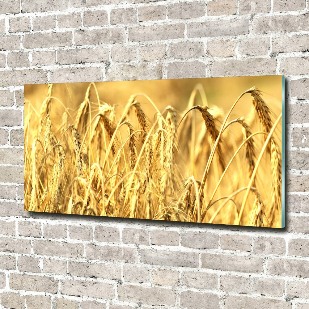 Wall art on glass Cereal