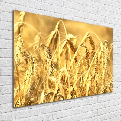 Wall art on glass Cereal