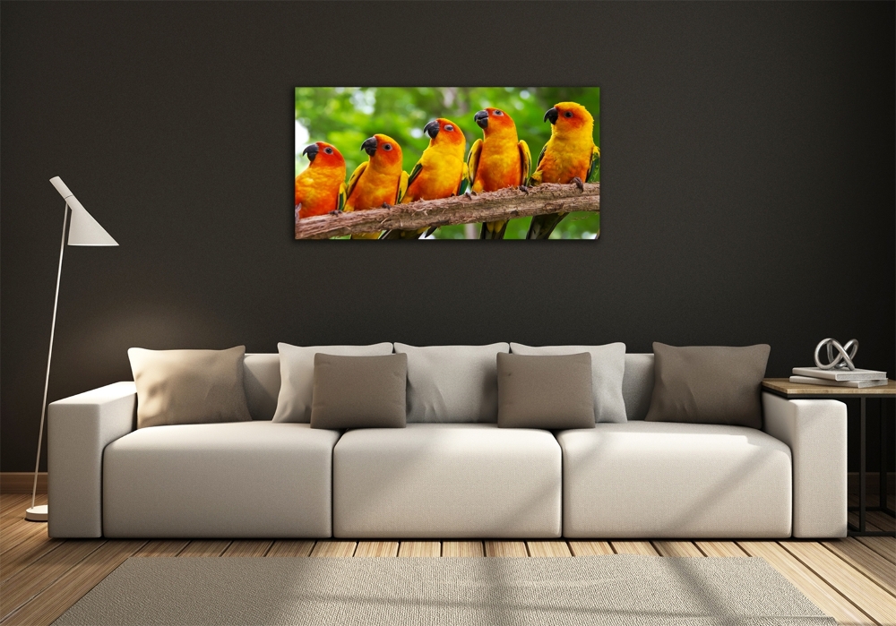 Glass picture print Parrots on a branch